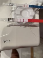 posit dpo18.jpg