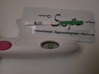 20191116_113130.jpg 20191116_113130.jpg