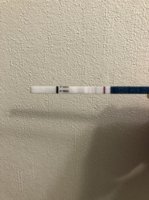 CCF53468-E7C9-4197-9299-272025F5F0A4.jpeg CCF53468-E7C9-4197-9299-272025F5F0A4.jpeg