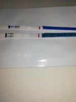 dpo 8 17.4.20.jpg