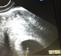 9DA3B84C-C189-49B1-A550-4960849D6809.jpeg 9DA3B84C-C189-49B1-A550-4960849D6809.jpeg