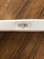 6FEC1D7E-1465-49E0-8083-20F06B1A6F2F.jpeg 6FEC1D7E-1465-49E0-8083-20F06B1A6F2F.jpeg