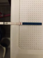 5AEC3416-AAF0-4D07-A81F-19C927DAF247.jpeg 5AEC3416-AAF0-4D07-A81F-19C927DAF247.jpeg