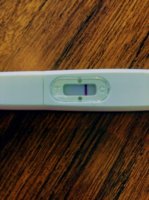 01D8D3B1-ECA4-4AB1-99E8-F7AF77827A44.jpeg 01D8D3B1-ECA4-4AB1-99E8-F7AF77827A44.jpeg