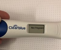 448E1690-83E4-4B8A-BDBE-241B96BD5F80.jpeg 448E1690-83E4-4B8A-BDBE-241B96BD5F80.jpeg