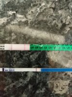 r testi dpo8.jpg