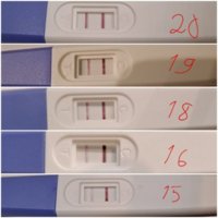 20200926_075701.jpg 20200926_075701.jpg