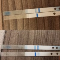 IMG_20200928_071352.jpg IMG_20200928_071352.jpg