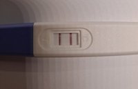 20200929_164153.jpg 20200929_164153.jpg