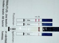 palstalle 20201024_084246.jpg