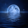 Bluemoon