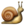 :Snail: